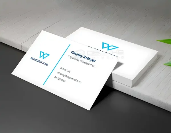 Bristol Pack Business Cards - Image 2