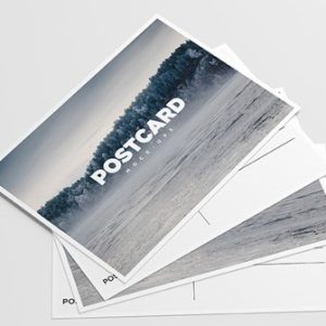 postcard flyer
